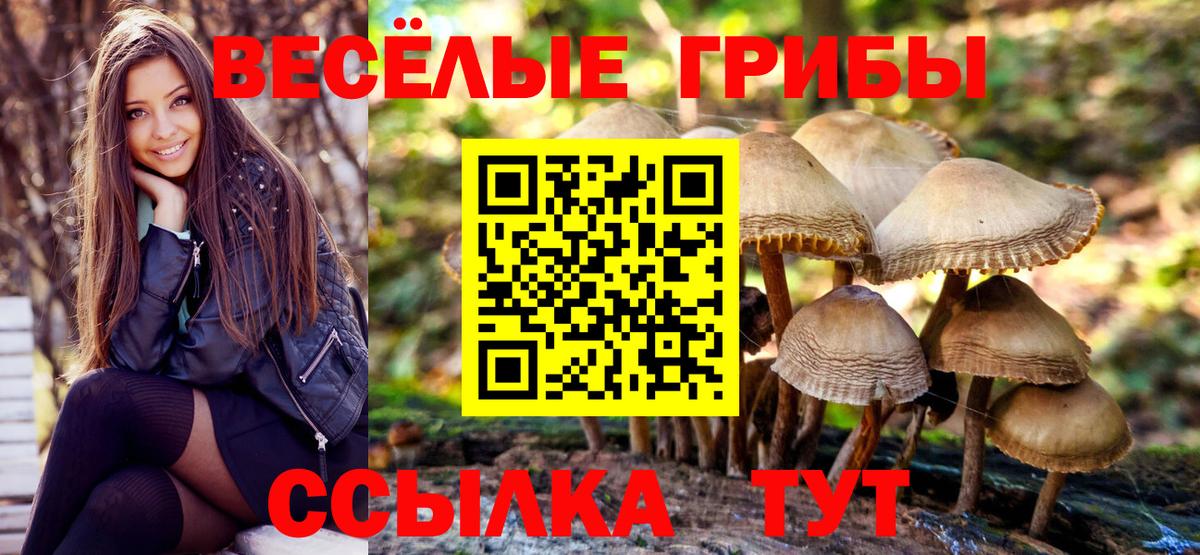 Псилоцибиновые грибы мухоморы Кириши