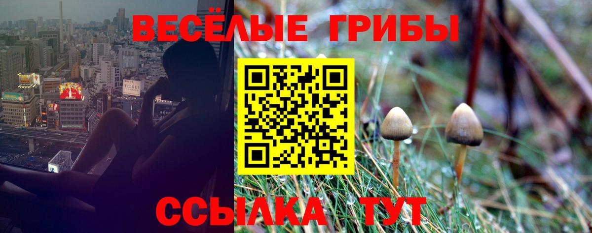 Галлюциногенные грибы MAGIC MUSHROOMS  Вход с VPN  Кириши 